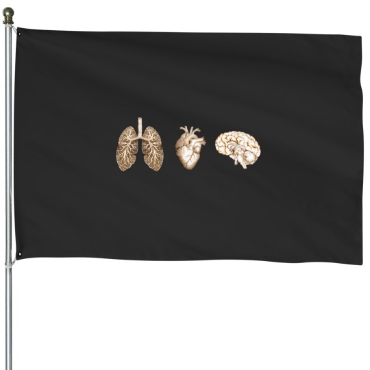 Discover A set of human organ lungs heart and brain Vintagess style House Flags