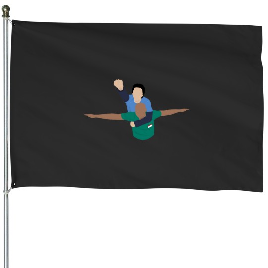 Discover Scrubs Eagle House Flags
