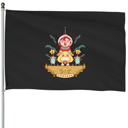 Discover The Captain House Flags