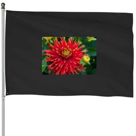 Discover Canada. Vancouver Island. Butchart Gardens. Flower. House Flags