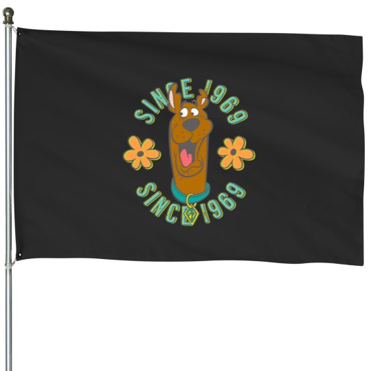 Discover ScoobyDoo In the Middle House Flags