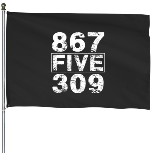 Discover 867 FIVE 309 Fitted Scoop House Flags