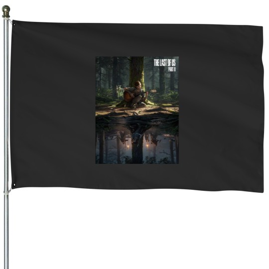 Discover playing the guitar House Flags
