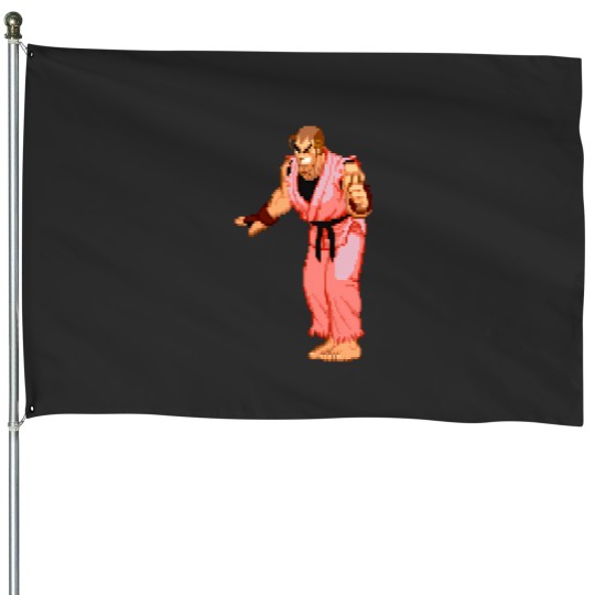 Discover Dan Piece Of Cake Wink House Flags