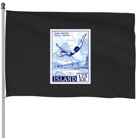 Discover 1955 Iceland Water Sports Postage Stamp House Flags