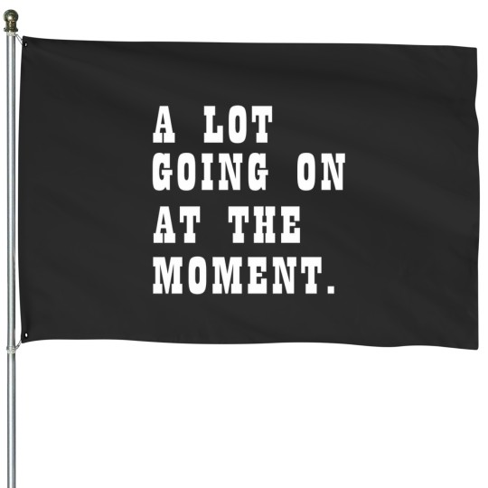 Discover A Lot Going On At The Moment Funny House Flags
