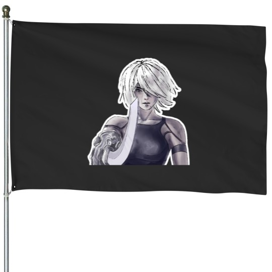 Discover A2 1 House Flags