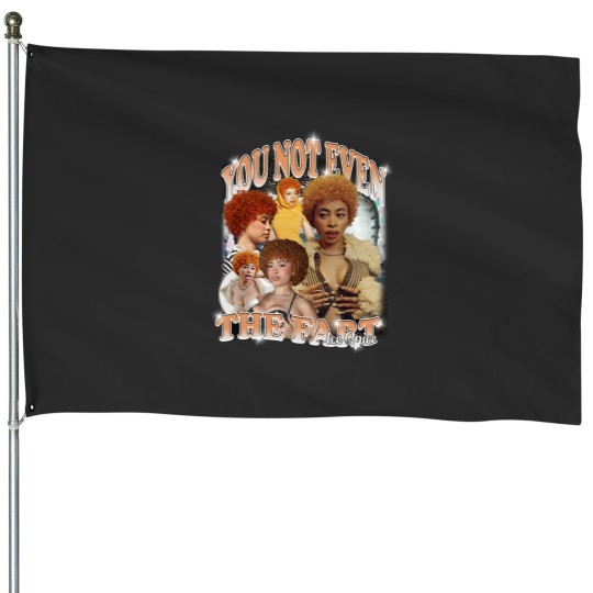 Discover Ice Spice, You Not Even The Fart, Gift Meme Funny House Flags