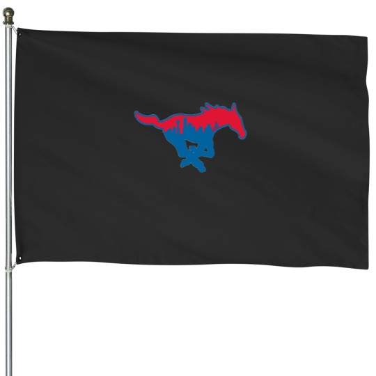 Discover Dallas Skyline Peruna House Flags