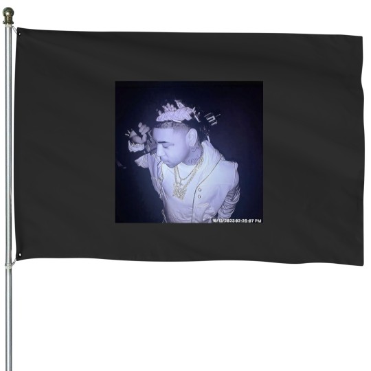 Discover AGREATCHAOS KEN CARSON House Flags
