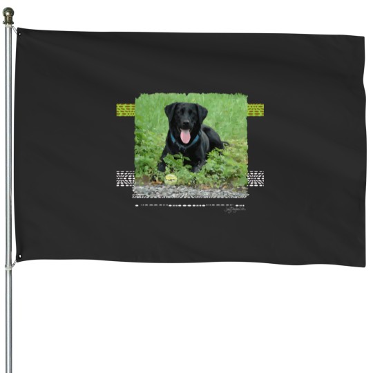 Discover Loki Black Labrador House Flags