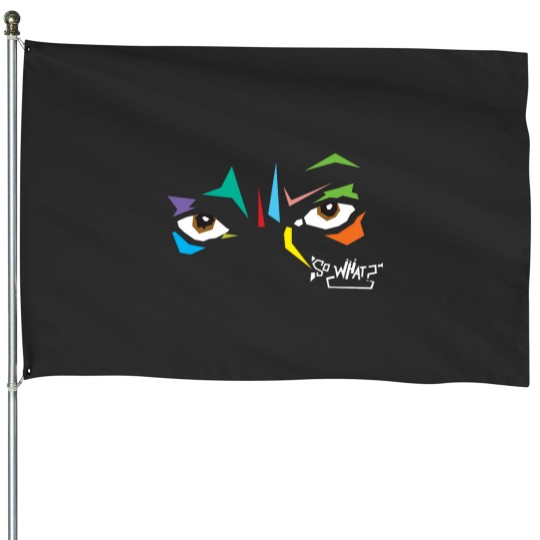 Discover So what House Flags