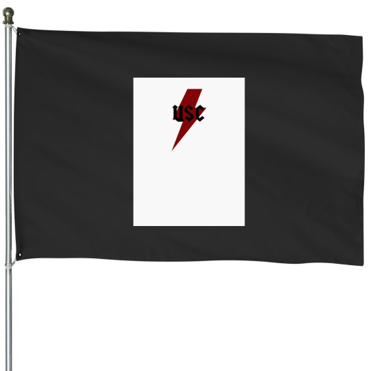 Discover South Carolina ACDCc Baseball ¾ Sleeve House Flags