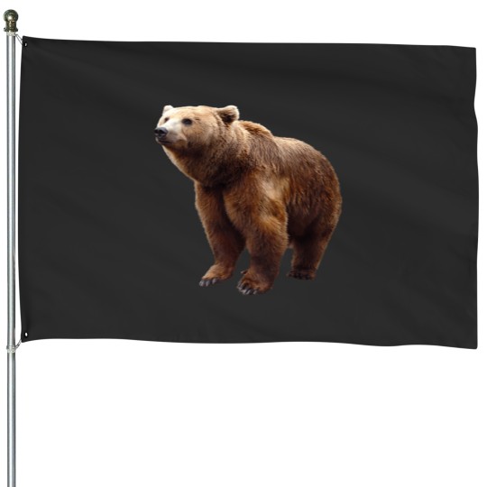Discover Brown Bear 1665 House Flags