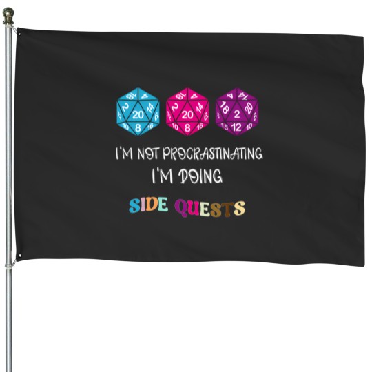 Discover IM Not Procrastinating IM Doing Side Quests 9 House Flags