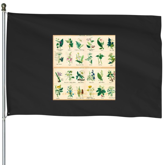 Discover Poisonous Plants Chart   1843 1 House Flags