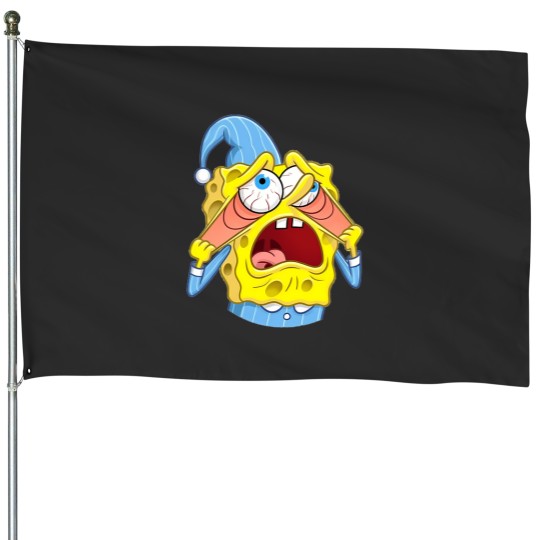Discover Sponge House Flags