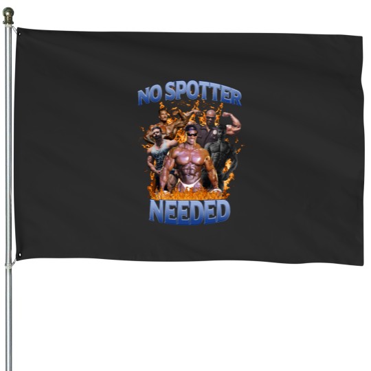 Discover No Spotter Needed House Flags
