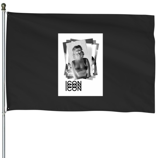Discover Icon Series 1 House Flags