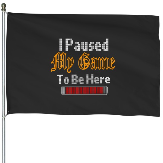 Discover I Paused My Game To Be Here 27 House Flags