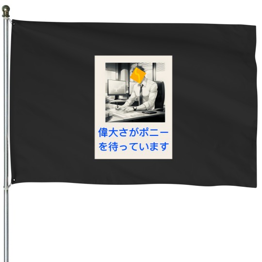 Discover This Requires Pony House Flags