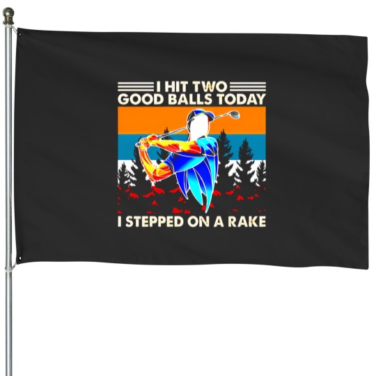 Discover I Hit Two Good Balls Today I Stepped On A Rake House Flags