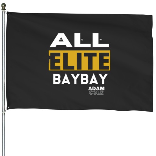 Discover AdamColedesign ALLELITE BAYBAY wwerestling House Flags