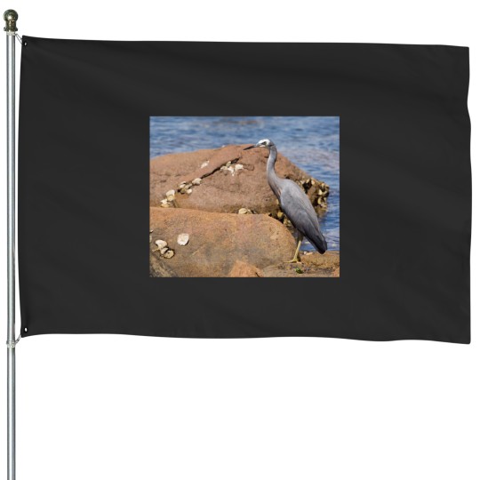 Discover heron at the beach House Flags