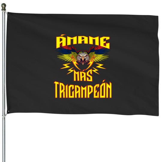 Discover America Tricampeon House Flags