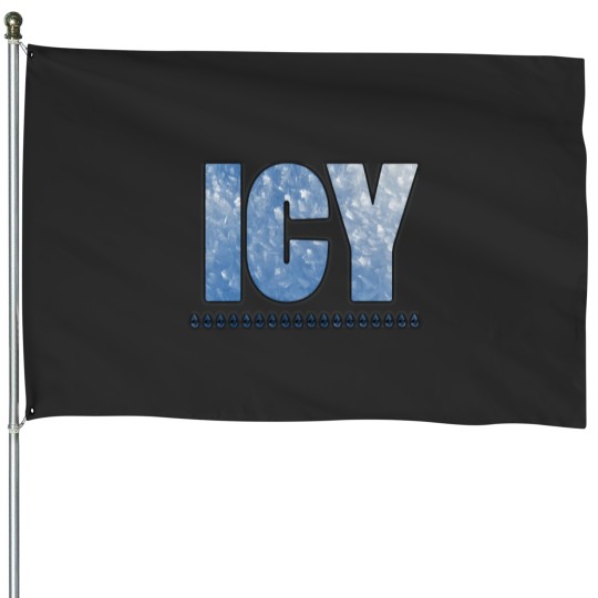 Discover Icy House Flags