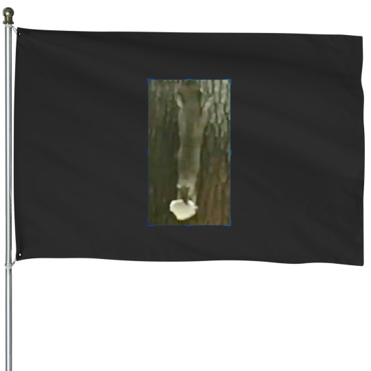 Discover Funny squirrel with nut House Flags