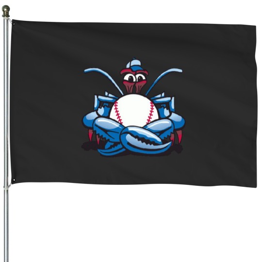 Discover Ridiculous Minor League Sports .png House Flags