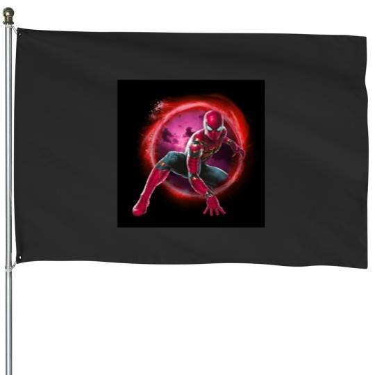 Discover hero the multiverse  .png House Flags