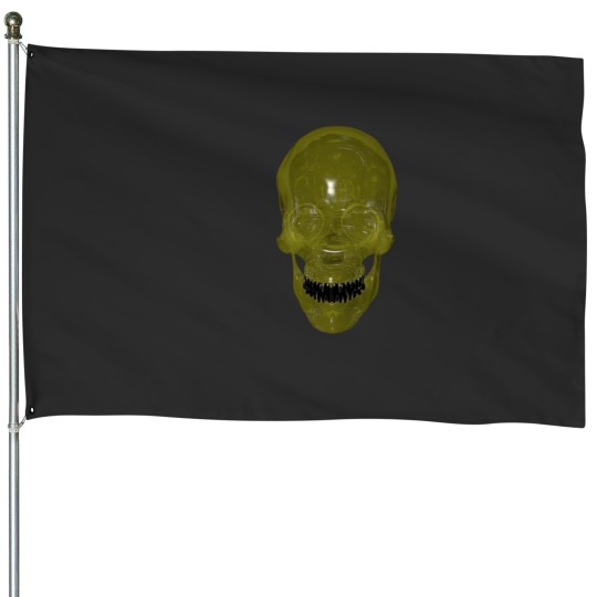 Discover anne bonny - death grips House Flags