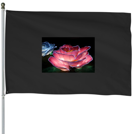 Discover Zoo Lantern 3380 House Flags