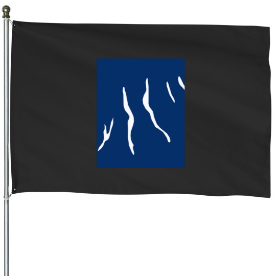 Discover Fingerlakes New York 805 House Flags