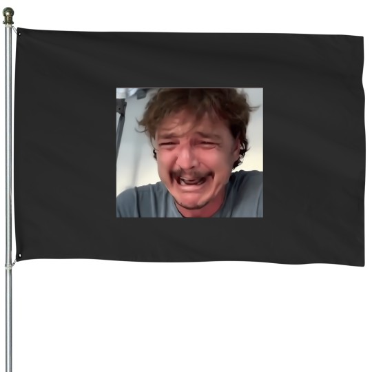 Discover Crying Pedro Pascal Funny Meme Sticker 2308 House Flags