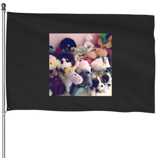 Discover Toy Stor House Flags