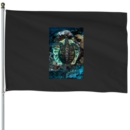 Discover Green Turtle Resting House Flags