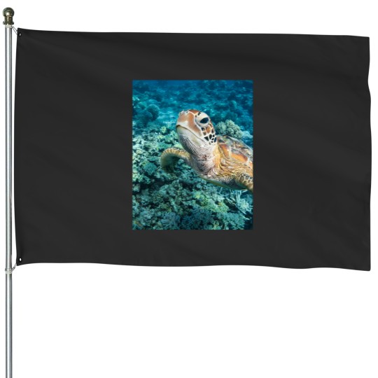Discover Green Turtle On Great Barrier Reef House Flags