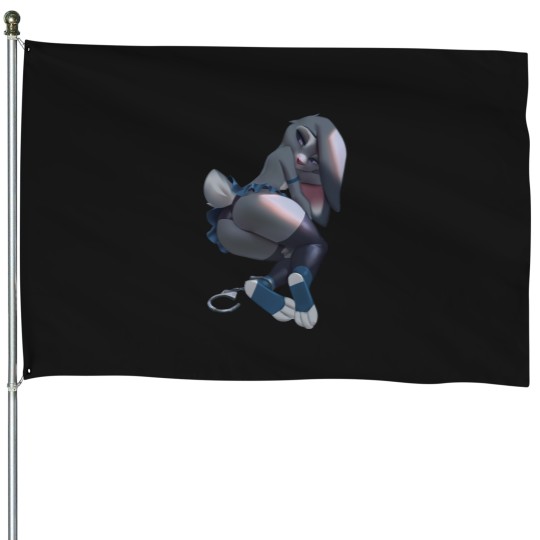 Discover Busted House Flags