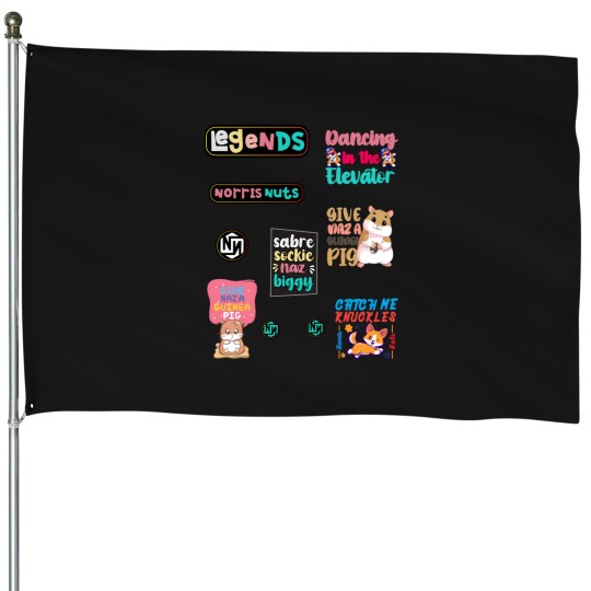 Discover The Norris Nuts Merch The Norris Nuts House Flags