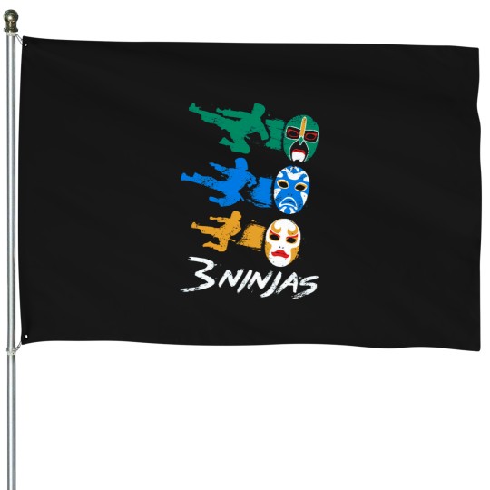 Discover Art of Ninjutsu House Flags