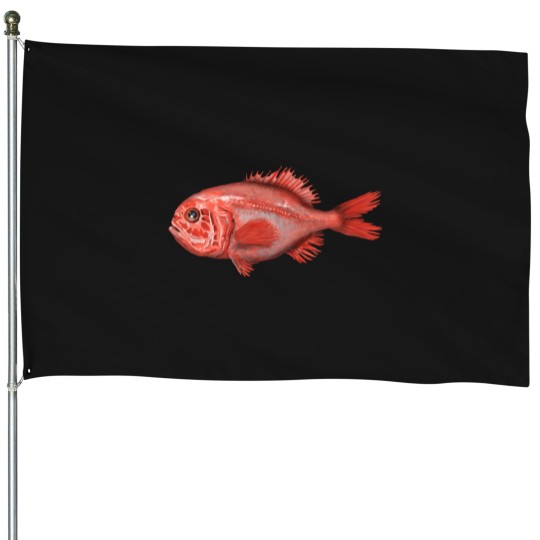 Discover Fish - Orange Roughy (Hoplostethus Atlanticus) T-Shirt House Flags