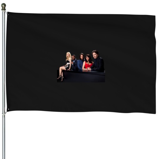 Discover Leverage s (2) House Flags