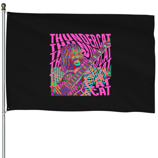 Discover Thundercat Retro House Flags