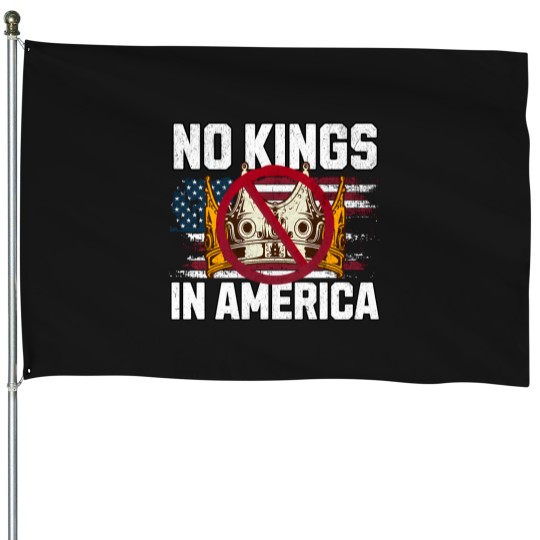 Discover no king 37 House Flags