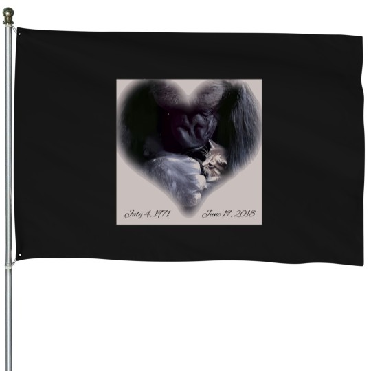 Discover 7152 Koko T-Shirt House Flags