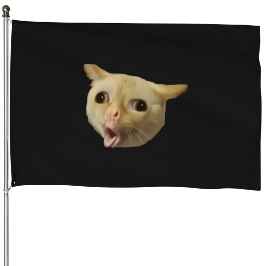 Discover Cat-Coughing-Like-A-Kid-Meme T-Shirt House Flags
