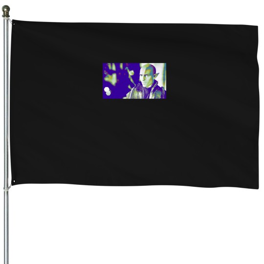 Discover Pop Art Solas House Flags